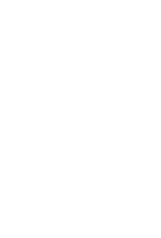 Flacso