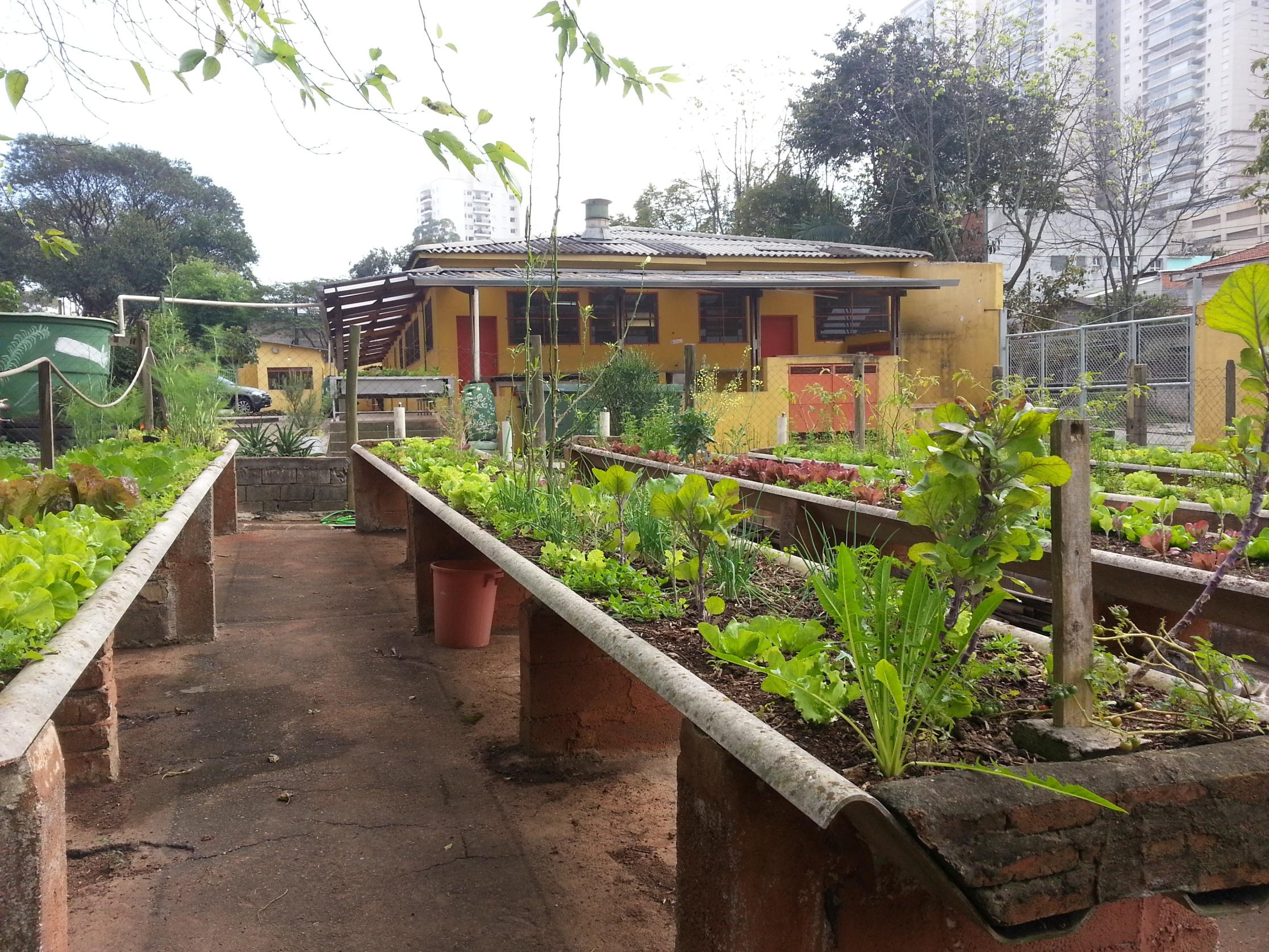 Órgão da prefeitura de São Paulo quer garantir direito à alimentação  adequada - Centro de Referências em Educação Integral