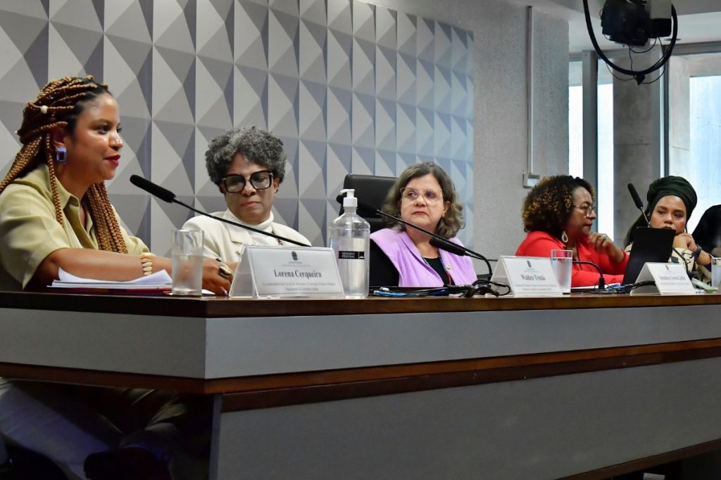 Comissão no Senado debate PNE antirracista