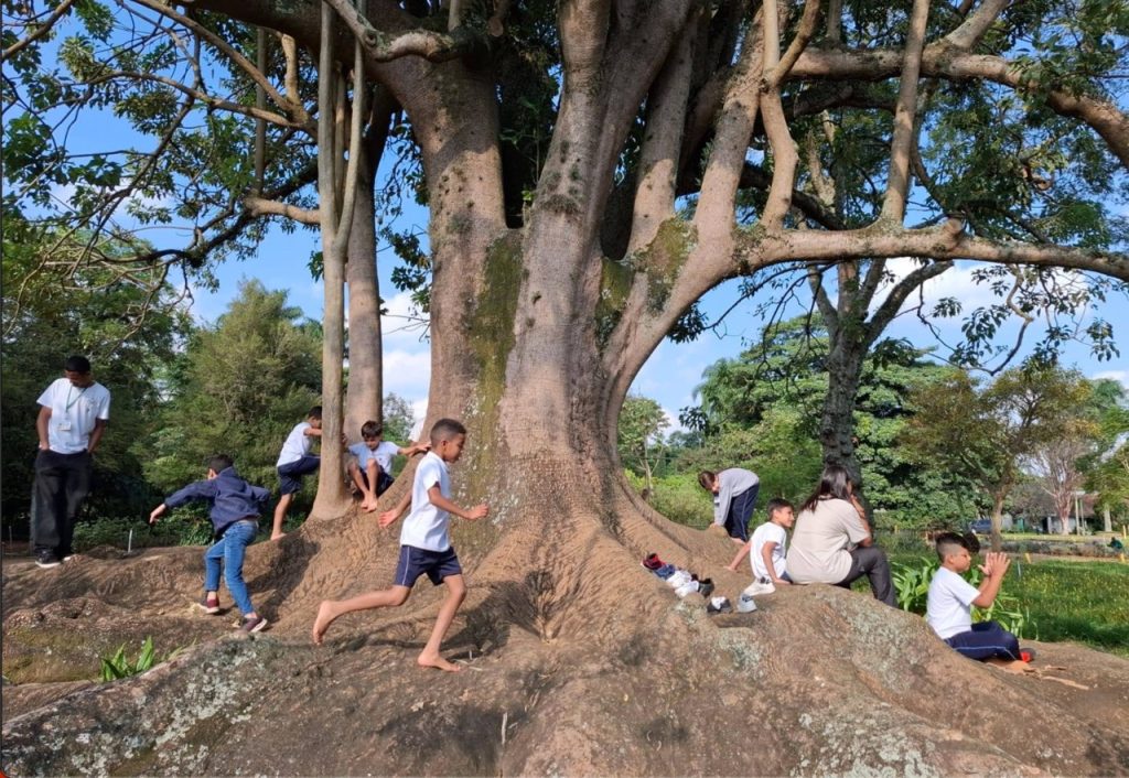 Foto